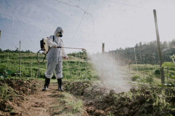 Best Pest Removal Services  in Big Beaver, PA
