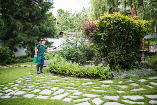 Best Mosquito Control Services  in Big Beaver, PA