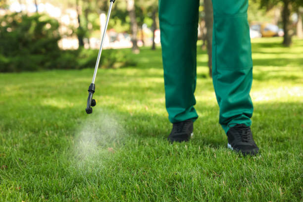 Best Exterminator Services  in Big Beaver, PA