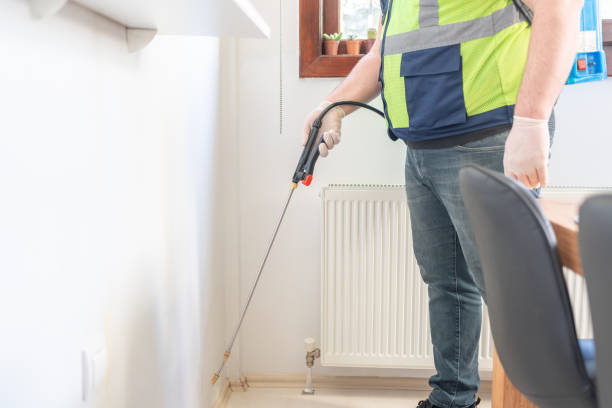 Best Flea Control Services  in Big Beaver, PA